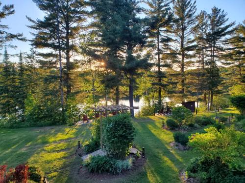 Dwight Resort | Spring Lake Resort