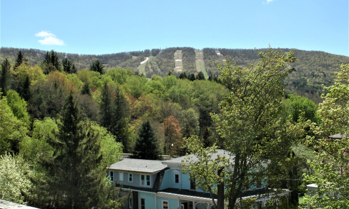 Windham Apartment | Studio 3 BEDS-SLP 3. Downtown Windham. Next to the Ski Resort. Close to Hunter