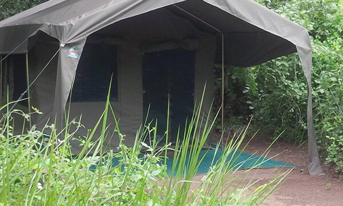 Moremi Other | Third Bridge Mobile Camp