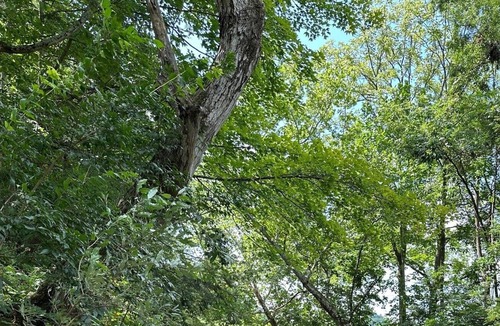 Mattawana House | Close to Penn State and Raystown Lake, beautiful quiet country setting.