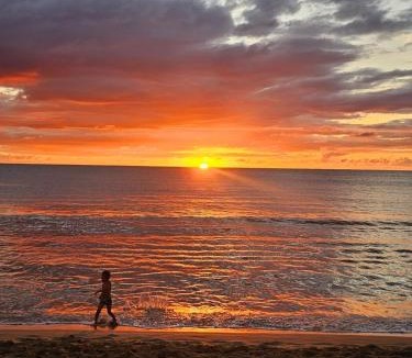 Stella Apartment | Cofresi Sunsets
