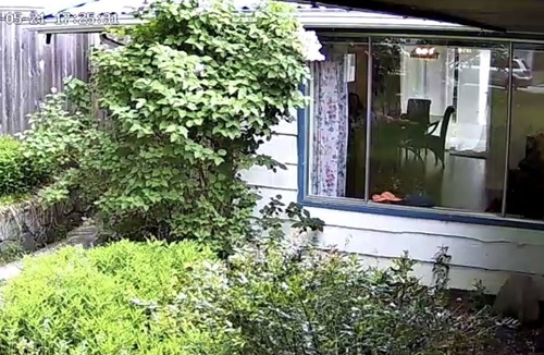 Lynn Valley House | Entire family oriented home with 2 Bedrooms/1Ba, 35 minutes to downtown by bus.