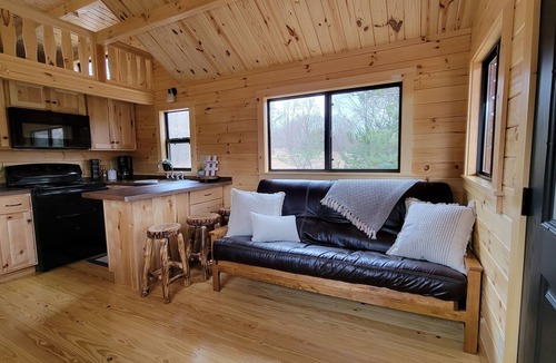 Northeast Michigan Cabin | Log Cabin Tiny Home Getaway on 22 acres