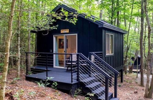 Balsam Grove Cabin | Romantic Retreat: Pet-Friendly Luxury Cabin in Enchanting Transylvania County