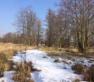 Schlepzig Apartment | Storchenblick