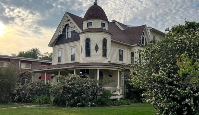 1878 Victorian Charmer