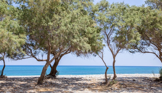 Aadonis Villa