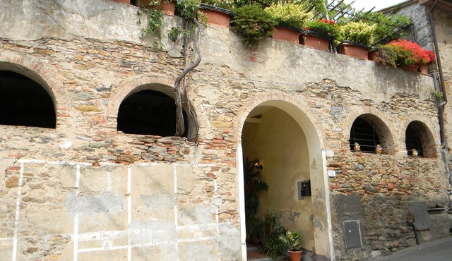 all apartment near Pisa