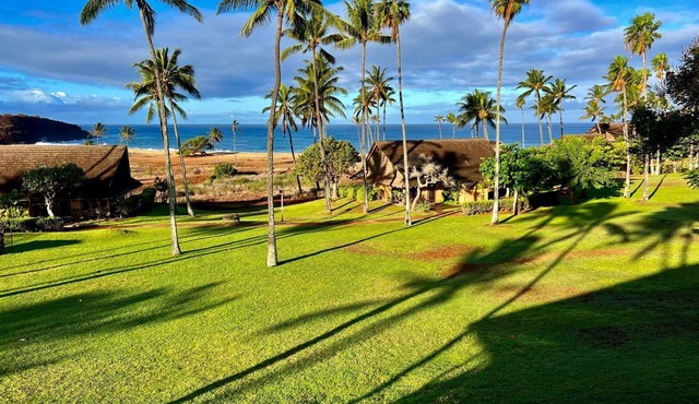 Aloha! Hawaii. Walk to the beach