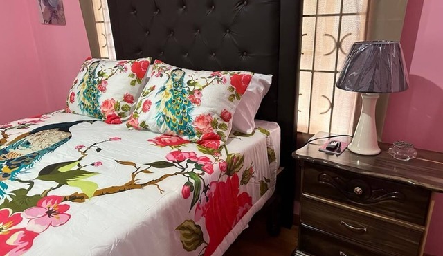 Beautiful One Bedroom with WiFi in Brumalia Mandeville, Manchester