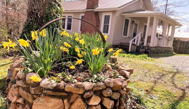 Brevard Bungalow 2 level, steps to Downtown, Music Center, Lumberyard, Greenway.