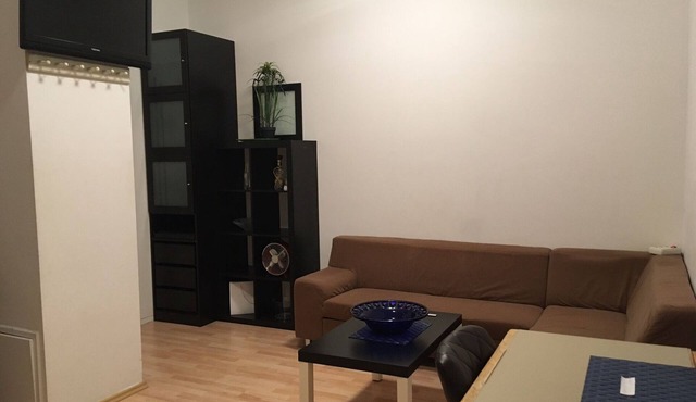 CENTRAL FLAT WITH KITCHEN (13 MIN. TO CITY CENTER)