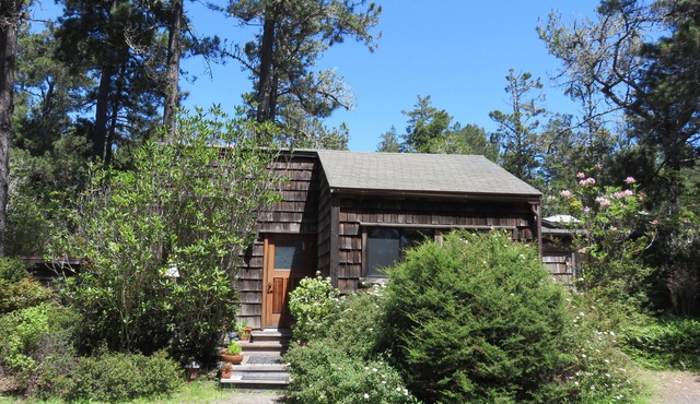 Charming CasparCottage Waterfall in the Redwoods