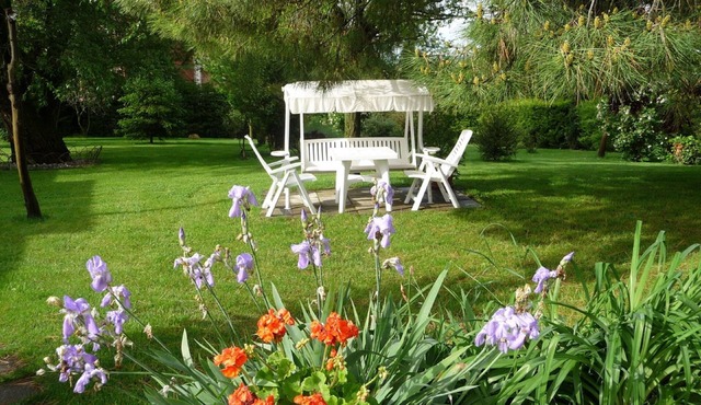 Charming small villa near Cortona,garden,olive grove.A/C.Fiber Wifi -LA COLONICA