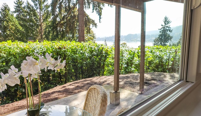 Convenient Lakeview 1 bed 1 bath home in Bellevue