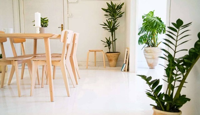 Dreamy White Minimalist 2 Bed/Bath with Garden