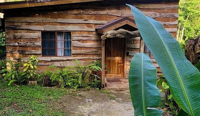 Ecoscape Tulia - Private Nature Escape - 1 Bedroom, 30 minutes to Ocho Rios
