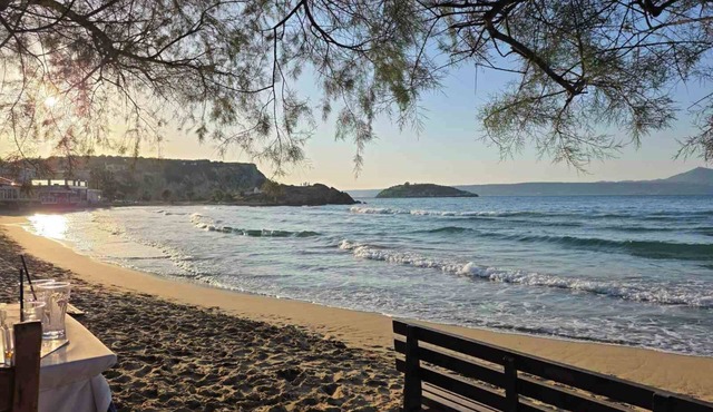 Elena SeaFront Luxury Apartments
