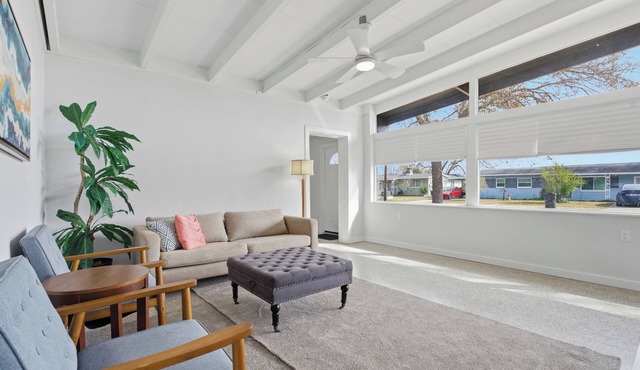Experience Timeless Mid-Century Comfort Near Oldsmar’s Best Attractions