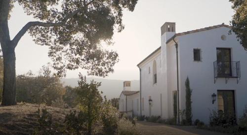 Exquisite luxury executive cottages