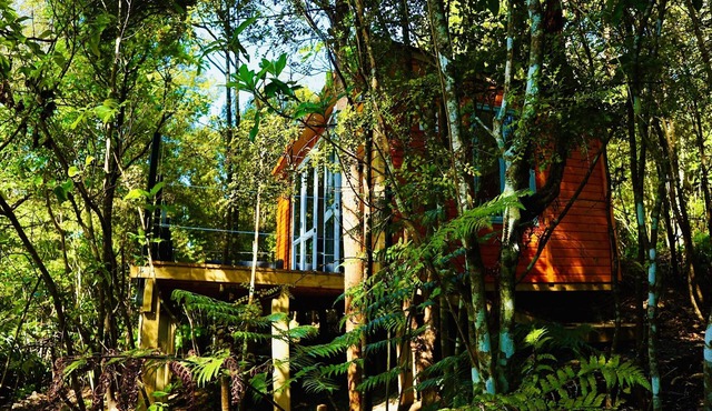 Fantail Bush Chalet, bush and golf on your doorstep!