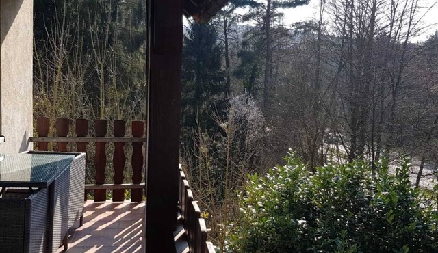 FewoEla2 -Comfortable apartment in Eppstein near Wiesbaden/Frankfurt