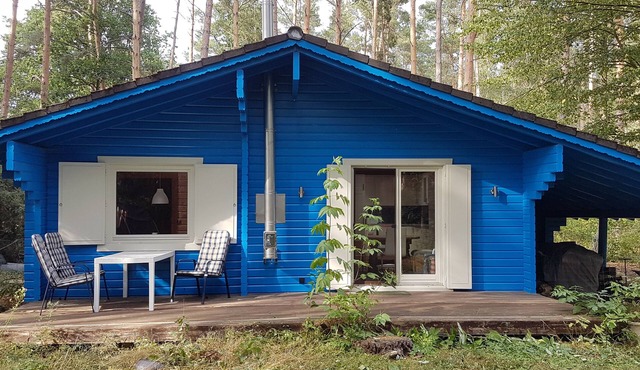 "Forest bathing" in Wendland, near the Elbe - hiking and cycling from the doorstep