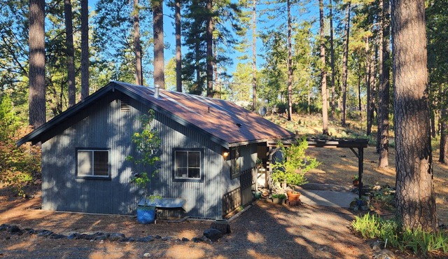 Forest Cottage Retreat