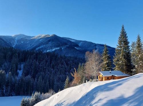 Hütte Neuhaus