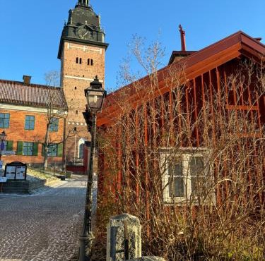 Historical idyll from the 17th century