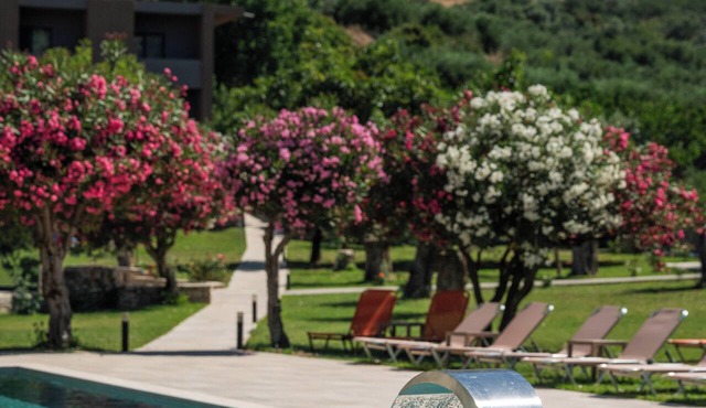 Idi Hotel