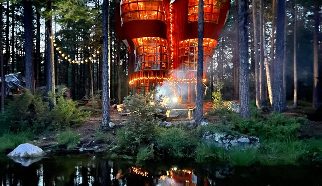 Incredible tree house on your own private island on a huge lake