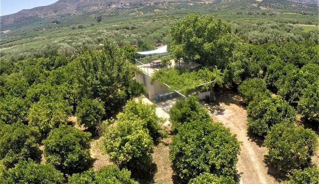 KaliVie Bio Farm & Retreat