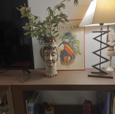 La casa delle api