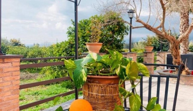 La Pomelia B&b Sofia - 1