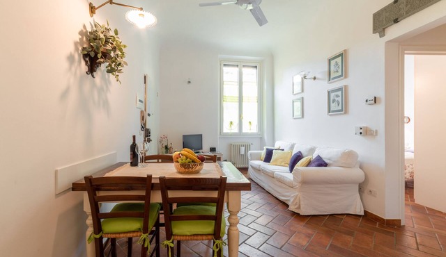 Le Rose di Leonardo - Historical apartment- 2bedrooms, A/C, WI-FI, washer, dryer
