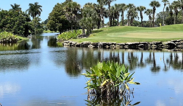 Luxe modern Villa with amazing views of nature, lake & golf course!