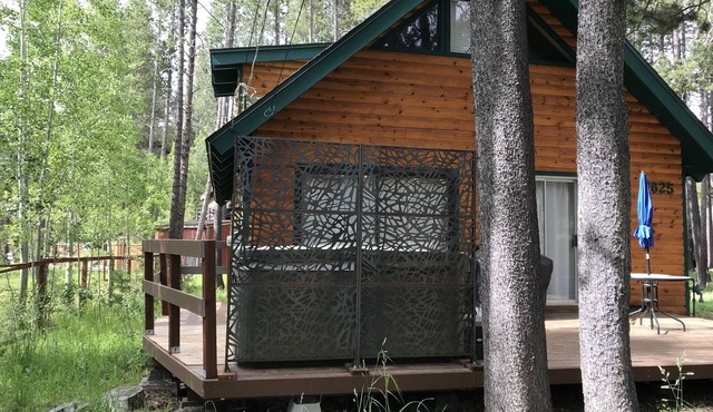 Mountain Chalet-come play in the mountains Hot Tub, cozy and clean 1625A