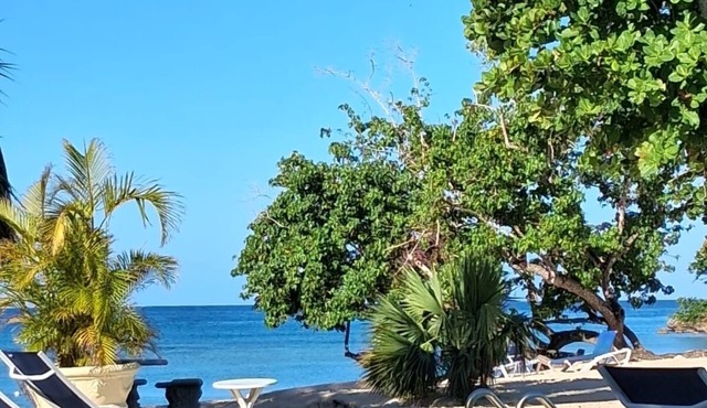 Negril Jamaica Beachfront house in Little Bay County Club , Pool , Free wifi A/C