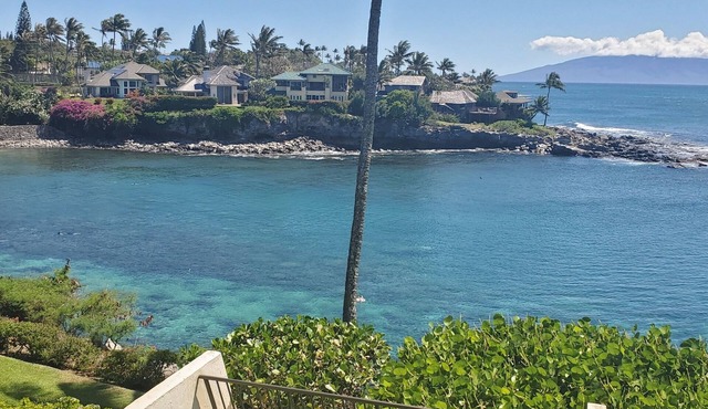 Ocean Front Napili Point C20 Amazing View A/C Freshly Remodeled for 2025!