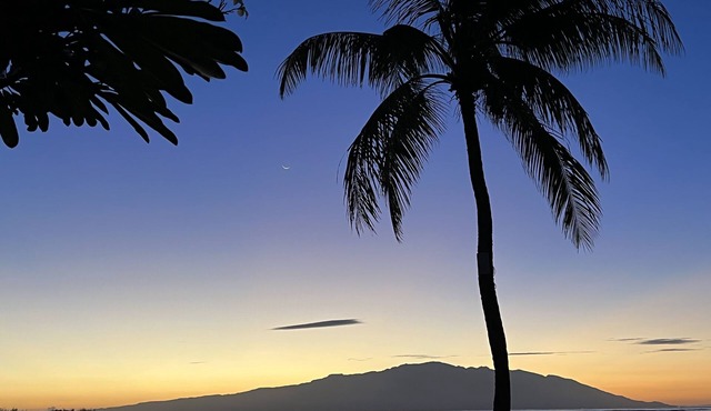 Oceanfront! Wavecrest Building "A" on the Island of Moloka'i.