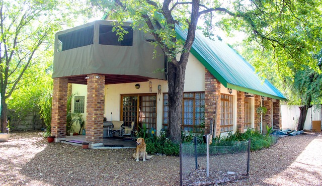 Open Plan House in a Spacey Yard