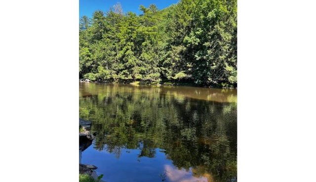 ⭐️Pristine river front property, swim, kayak + fish. ⭐️ 90 mins away from NYC