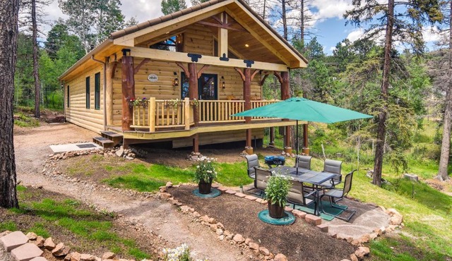 Private Hot Tub & Pond: Conifer Log Cabin