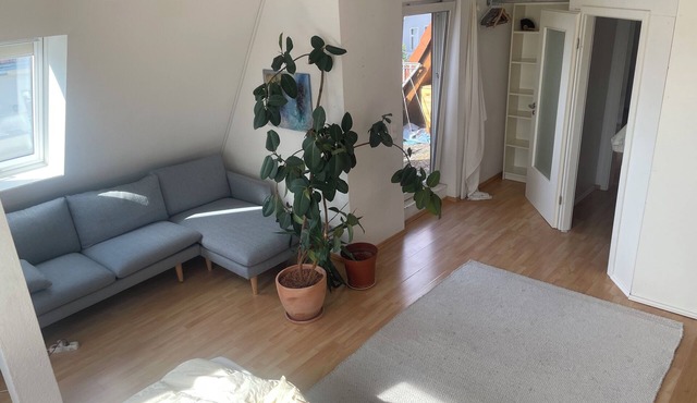 Private room in central rooftop
