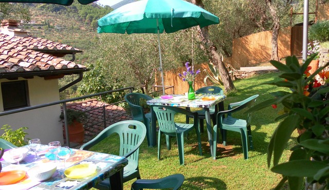 PROMOTION Typical Tuscan dwelling, house with garden among olive trees