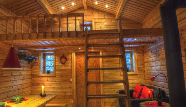 Quaint holiday home in the forests of Lapland by the river