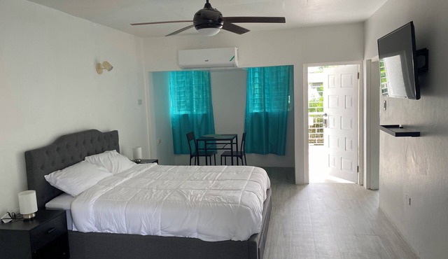 Quiet and cozy apartment close to all amenities in Kingston