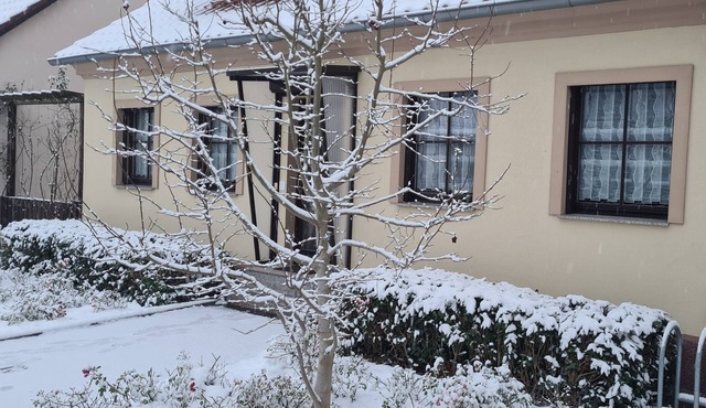 quiet apartment "Am Nationalpark Unteres Odertal"