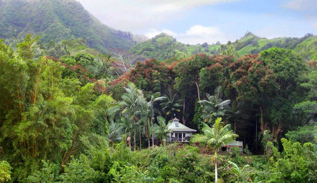 Romantic Cottage, Private Acre of Paradise, View! Pool!